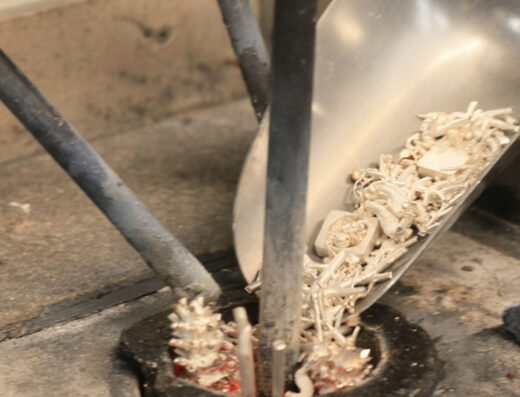Spin Casting from United Kingdom